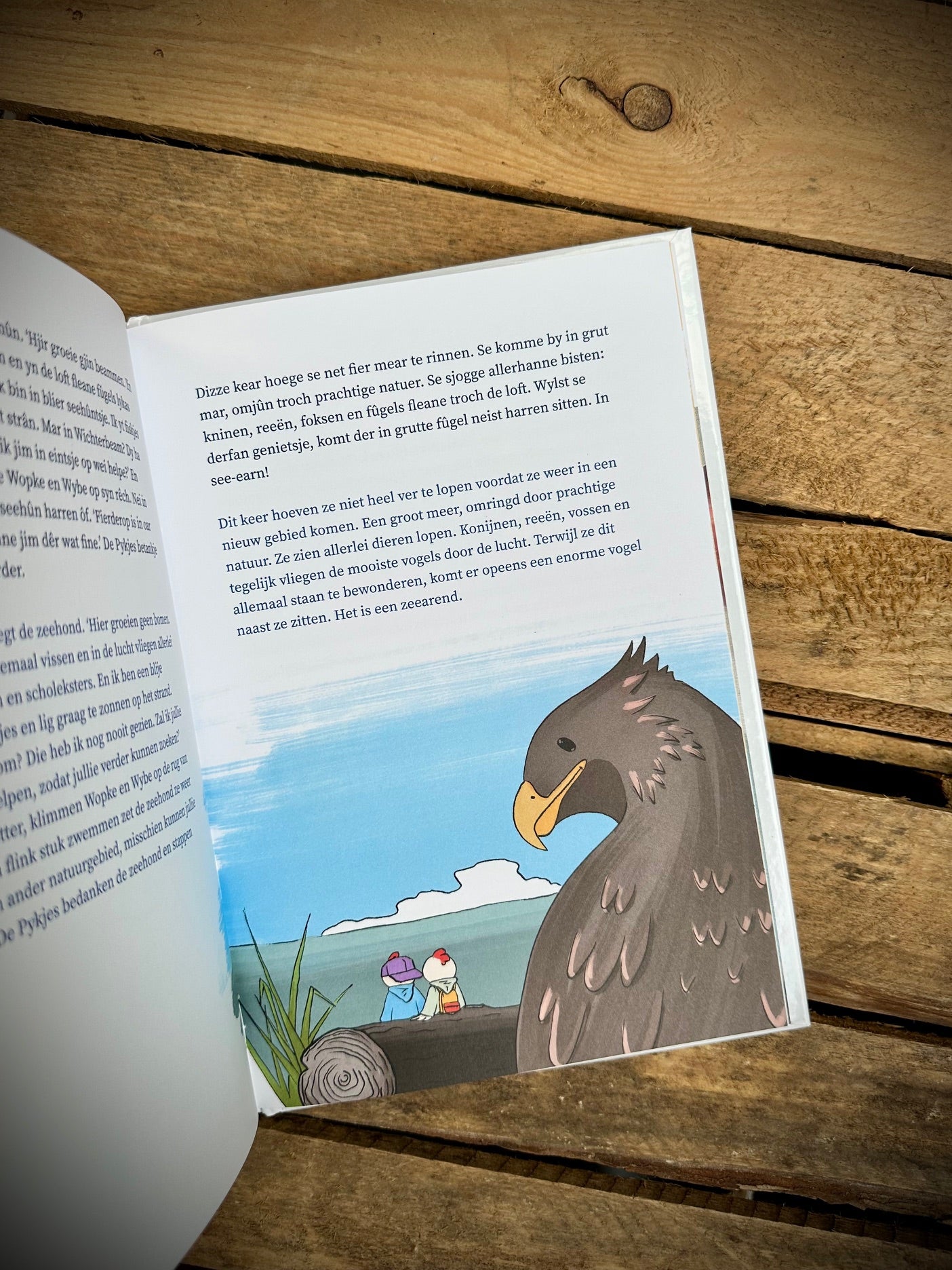 Interactief kinderboek De Wâldpykjes en harren syktocht nei de Wichter