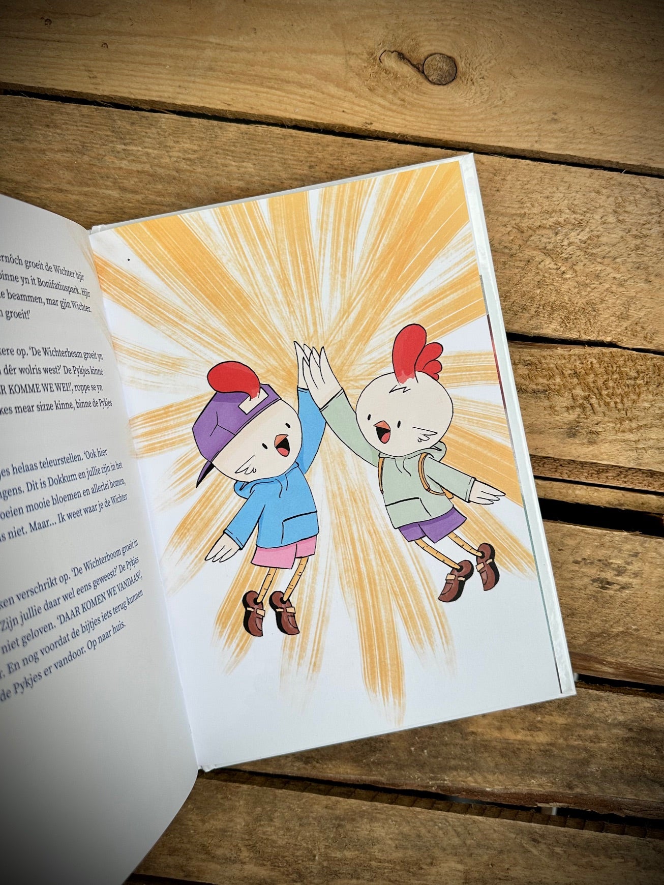 Interactief kinderboek De Wâldpykjes en harren syktocht nei de Wichter